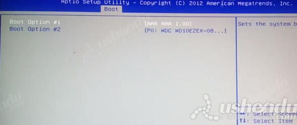 bios設(shè)置u盤啟動(dòng)